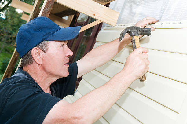 Best Siding for Commercial Buildings  in Windsor, MO