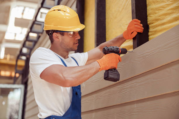 Best Vinyl Siding Installation  in Windsor, MO